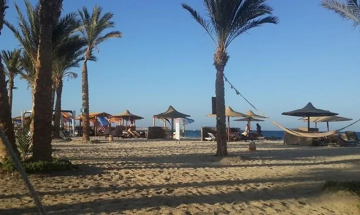 Abu Dabbab Beach Full Day From Hurghada