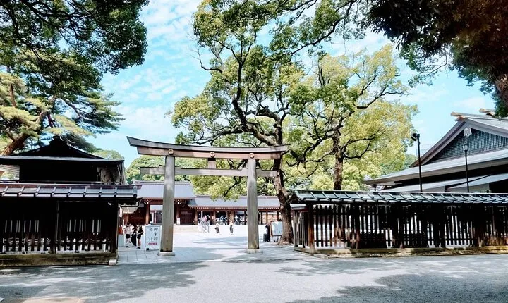 Private Day Tour of Tokyo Shrine for Oharai Yakubarai