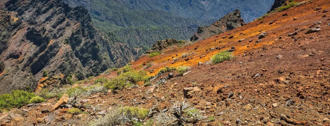 Full-day tour of northern La Palma with Roque de los Muchachos