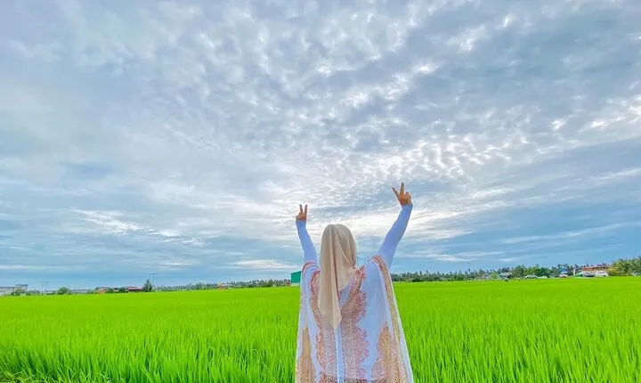 Paddy Field Experience with Real Agricultural Activities