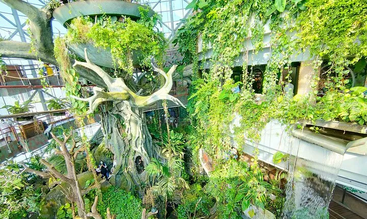 The Green Planet Dubai with Options