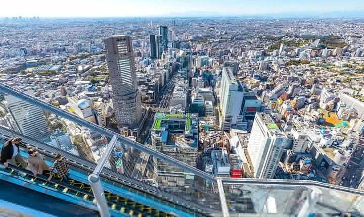 Tokyo Private Tour: One Day Highlights and Optional Shibuya Sky