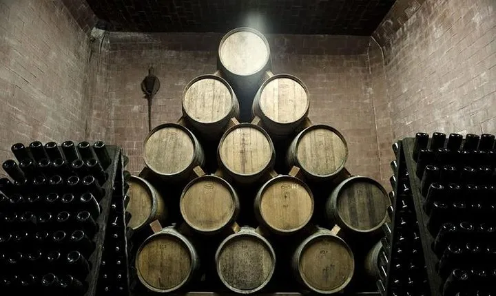 Food Tour: Parmigiano, Balsamic, Red Wine, lunch,transport