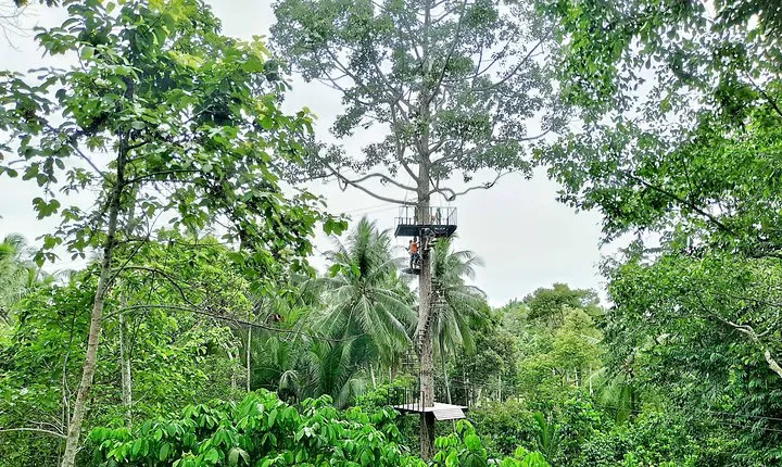 Samui Zipline Explore and Connect with Nature