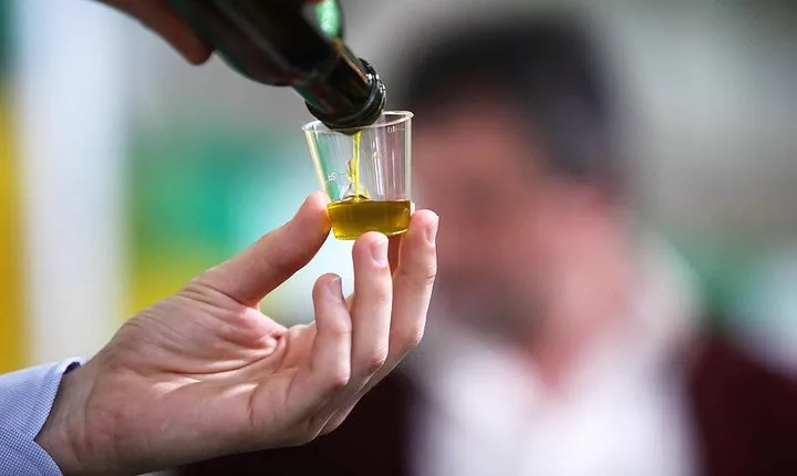 Tuscan ExtraVirgin Olive Oil Tour