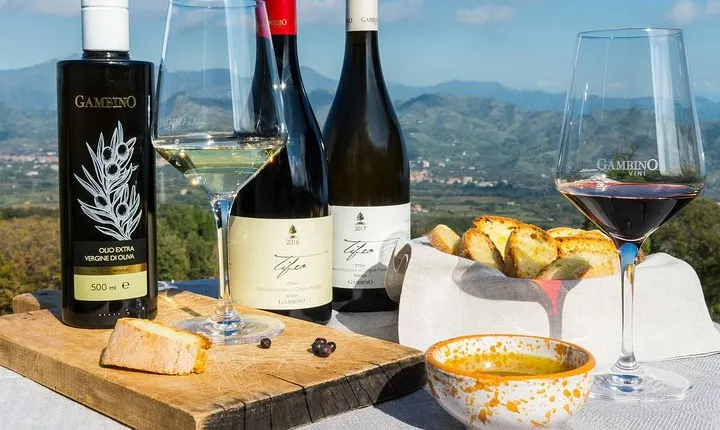 Private 7-Hour Tour of Three Etna Wineries with Tasting from Syracuse