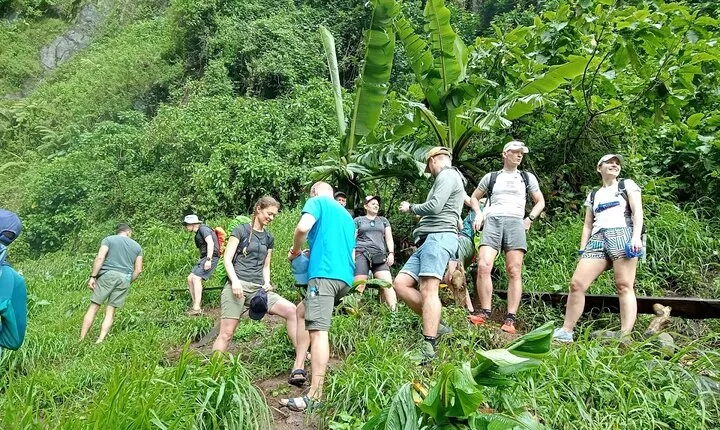 Private Materuni Waterfalls, Coffee Tour and Kikuletwa Hot Spring