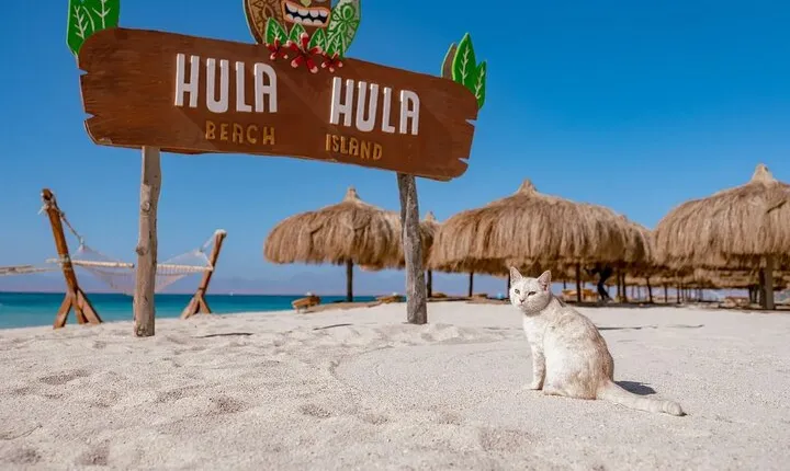 Giftun Island VIP Sea Trip Lunch on Bord and Transfer - Hurghada