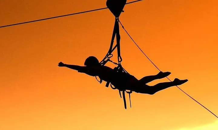 Flying Fox (Zimbabwe)