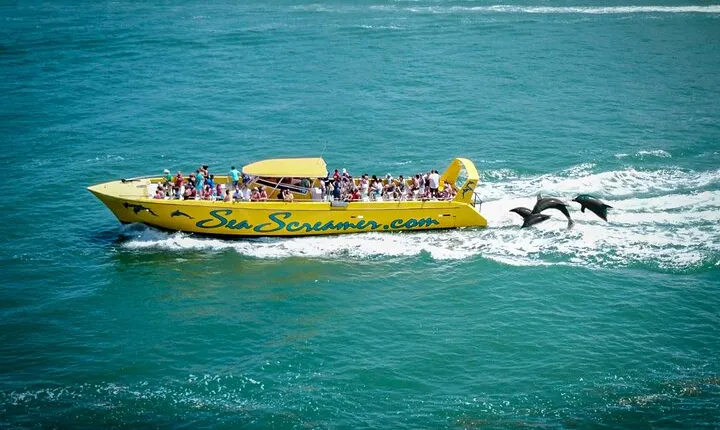 Sea Screamer Clearwater's Only Speed Boat Dolphin Watching