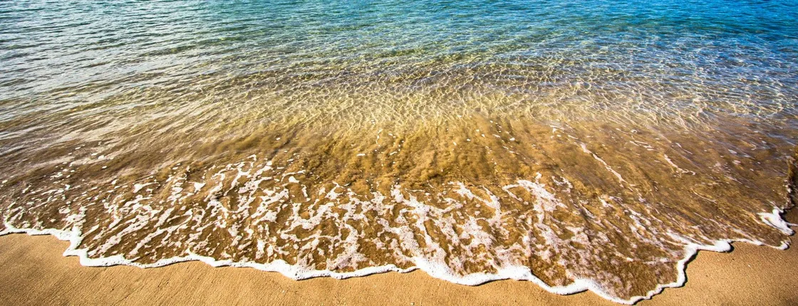 Coromandel Coastal experience