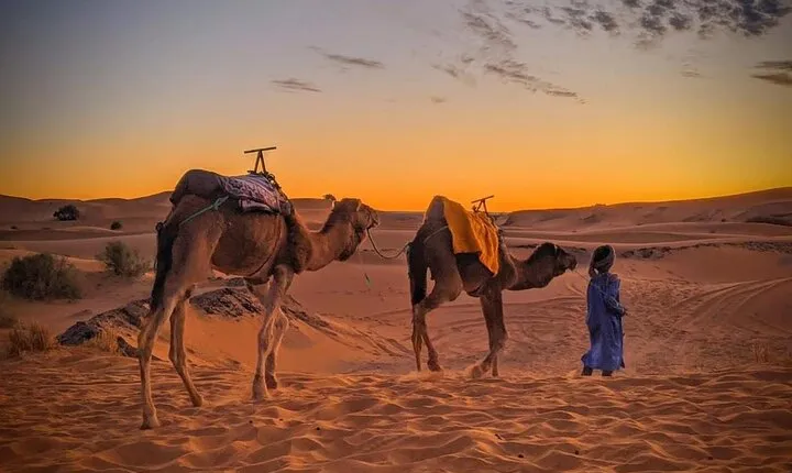 3-Days 2 Nights from Fes to Marrakech Private Luxury Desert trip