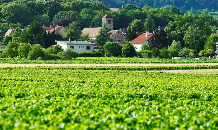 Burgundy 2 Day Private Tour from Paris