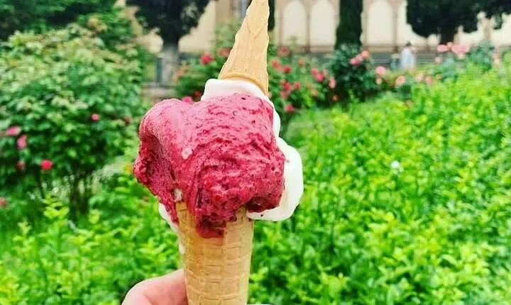 Siena wine tasting & Gelato tasting