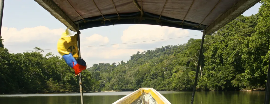 2-day cultural expedition to the Tena jungle