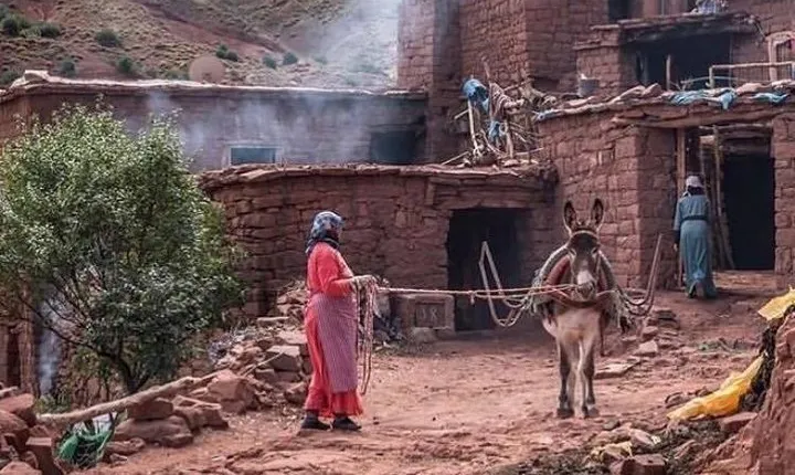 4 Atlas Mountains Valleys and Berber Villages Full-Day Trip