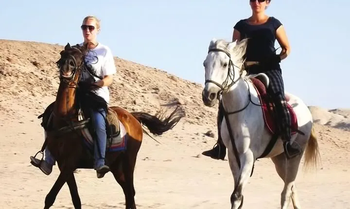 Hurghada: Arabian Desert and Sea Horseback Adventure
