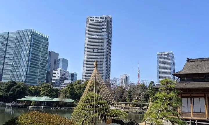 Tsukiji & Hamarikyu Gardens Wellness Tour – Walk, Relax & Lunch