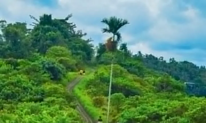 Ubud Trekking and Traditional Massage Experience