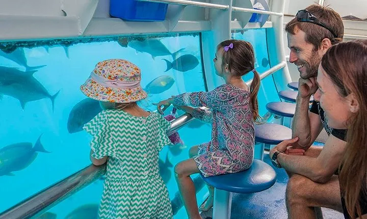 Panorama Semi Submarine Snorkelling Cruise in Makadi Bay