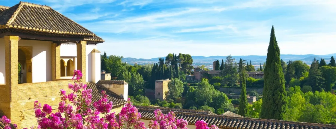 Alhambra guided tour with skip-the-line tickets and transport