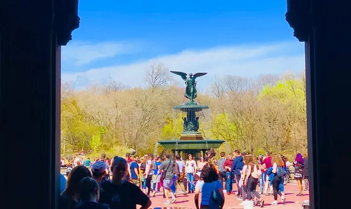 Central Park privet pedicab delux tour -1 hour