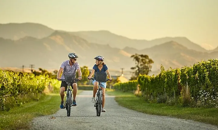 Private Biking Wine Tour (full day) in the Marlborough Region