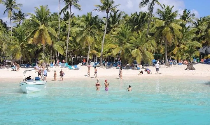 Saona Island Excursion by Catamaran and Speedboat (Full Day)