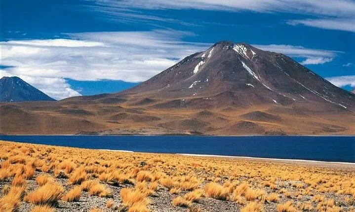 San Pedro: Full day Altiplanics Lagoons and Salar de Atacama
