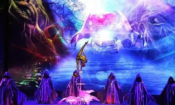 Fantastic Acrobatic show in Beijing with one way private transfer