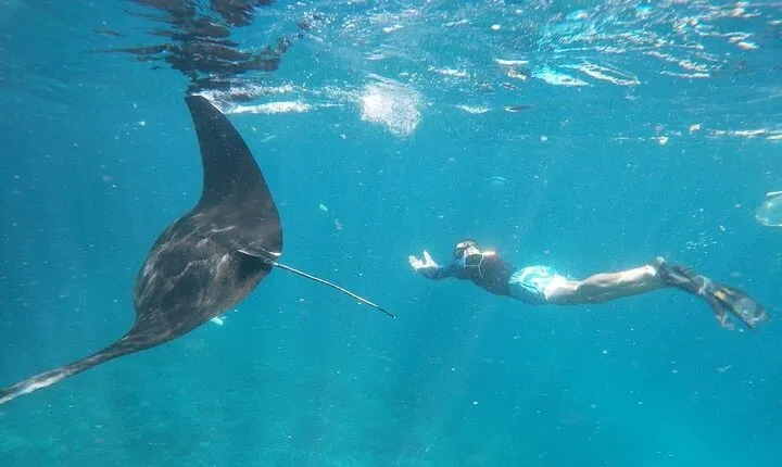 Bali Private Snorkeling (Manta, Gamat, Wall) and Nusa Penida Tour