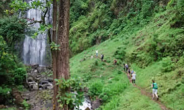 Swim to Materuni and Kikuletwa Hotspring