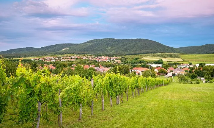 Full-Day Private Etyek Wine Tour Experience from Budapest