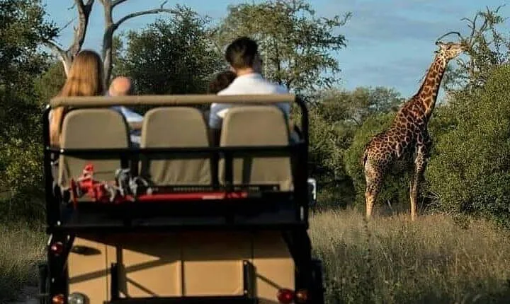 3-Day Private Budget Safari to Serengeti Np and Ngorongoro Crater