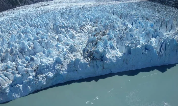 Glacier & Wildlife Discovery Tour