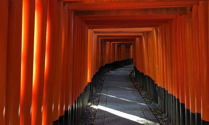 1 Day Private Sightseeing Tour in Kyoto