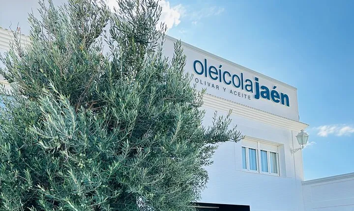 Immersive oil tourism in AOVEland by Oleícola Jaén