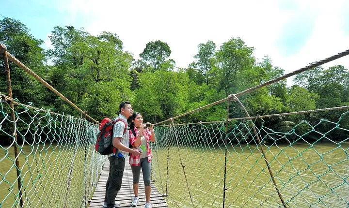 Amazing Taman Negara Day Trip from Kuala Lumpur Including Lunch