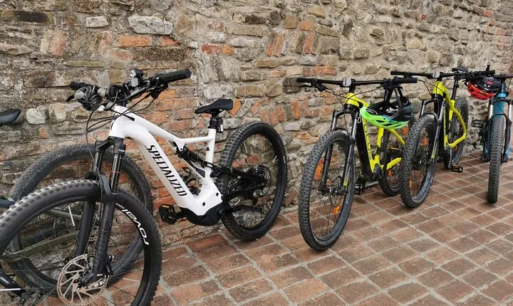 3 Hour E-bike Tour with Parmesan and Balsamic Vinegar