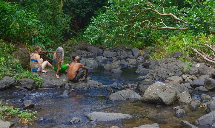 Custom Island Adventure Tours