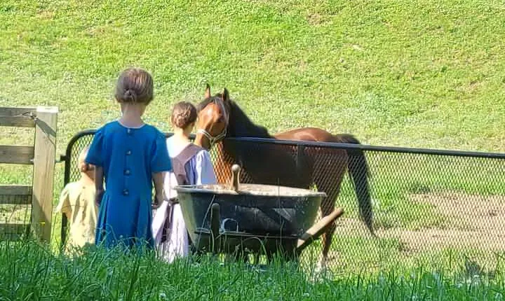 Truly Authentic Lancaster Experience!