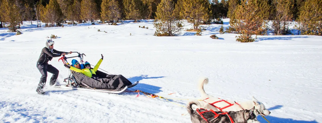 Mushing Experience in Grau Roig
