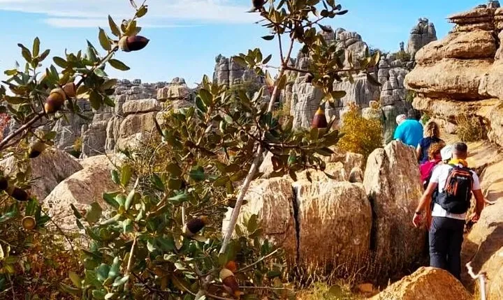 Antequera and Torcal small group tour with pick up