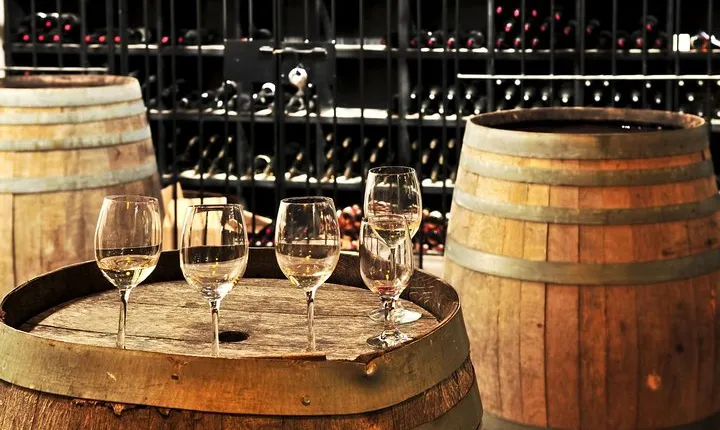 Chianti Lovers Private Tour - Two Wineries Tour from Montecatini