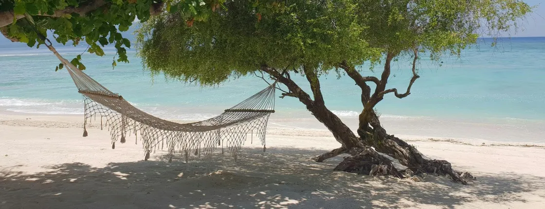 Gili Islands full-day guided tour with snorkelling and lunch