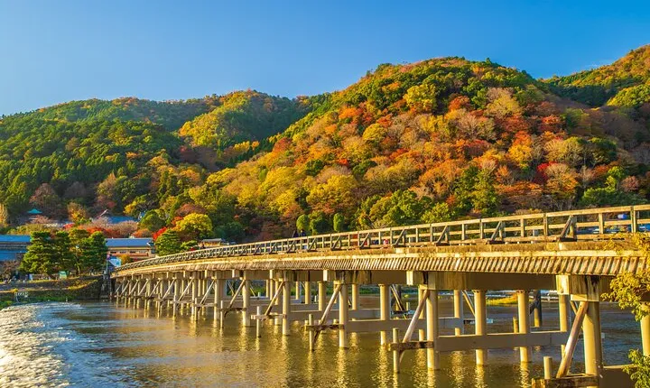 From Osaka/Kyoto: Kyoto & Nara Day Trip with Lunch