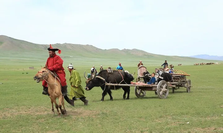 Private - Mongol Nomadic Show & Khustai National Park Day Trip