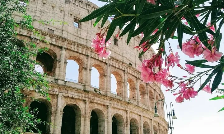 Civitavecchia Port: Private Full Day Tour of Rome