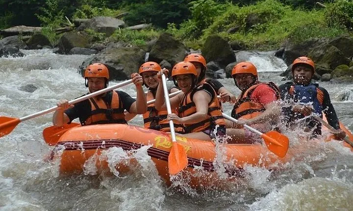 Ayung River Rafting Adventure with Private Transfer