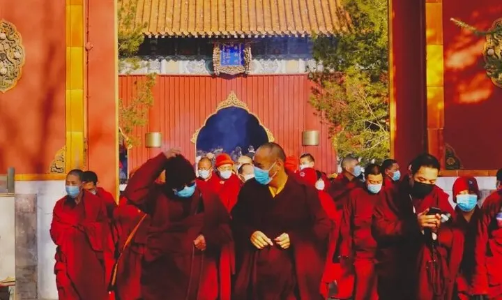 2-Hour Lama Temple and Confucius Temple Guided Walking Tour 